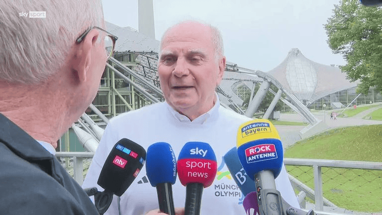 stron, 他指的是德, 这些猜测很